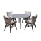 Armen Living Sydney and Fanny 5 Piece Outdoor Patio Dining Set in Dark Eucalyptus Wood 840254335950 - alternate 1